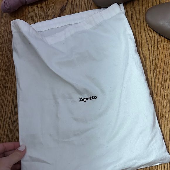 Repetto Gersen Leather Booties in taupe - Picture 12 of 12